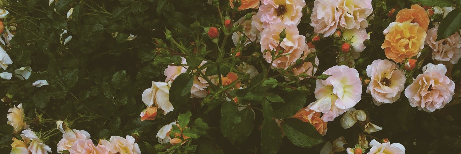 RMadisyn's profile banner image