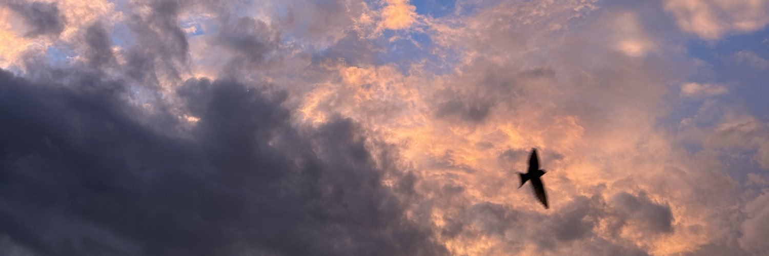 SteffCMun's profile banner image