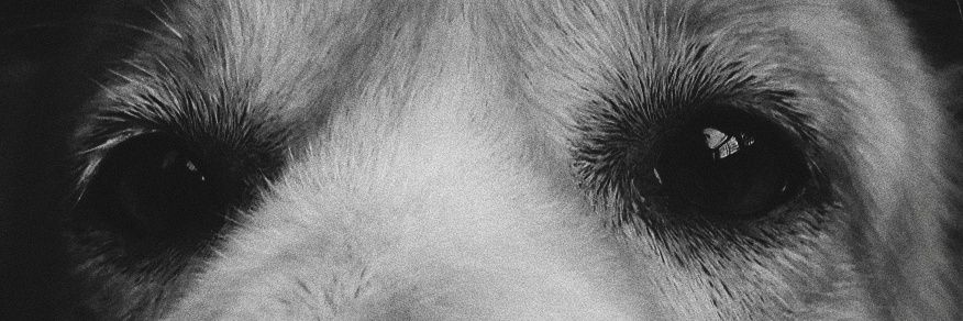 xavls's profile banner image