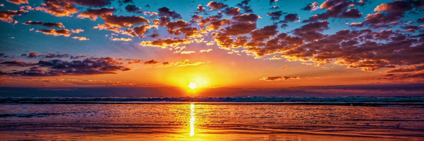 Bouvier Wilson banner