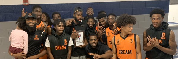 dreameliteaau Profile Banner