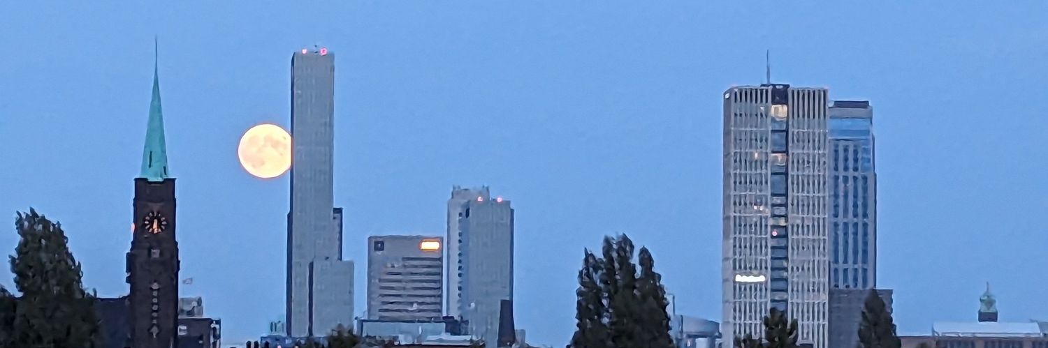 Roterdão banner
