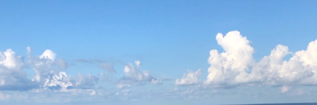 Ellyn Artis banner