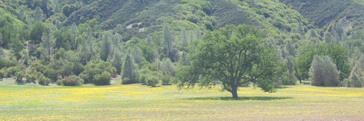 ProtectSB's profile banner image