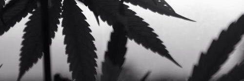 ThatDopeMan's profile banner image