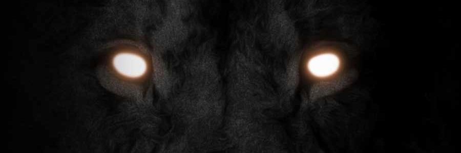 1KingLeo (33.3%) banner