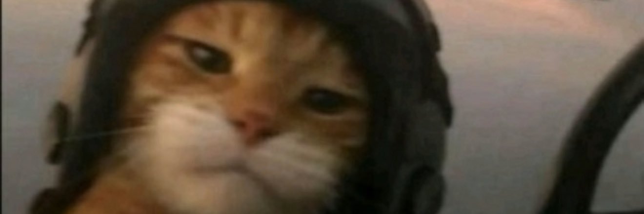 mgacortz's profile banner image