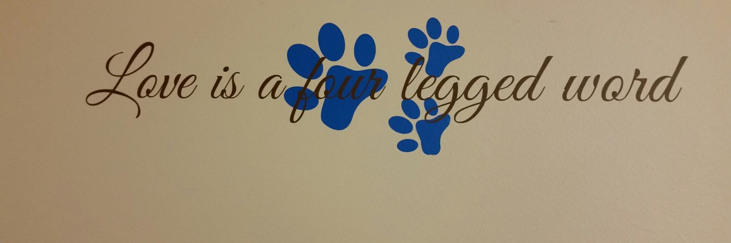little_lab_rat's profile banner image