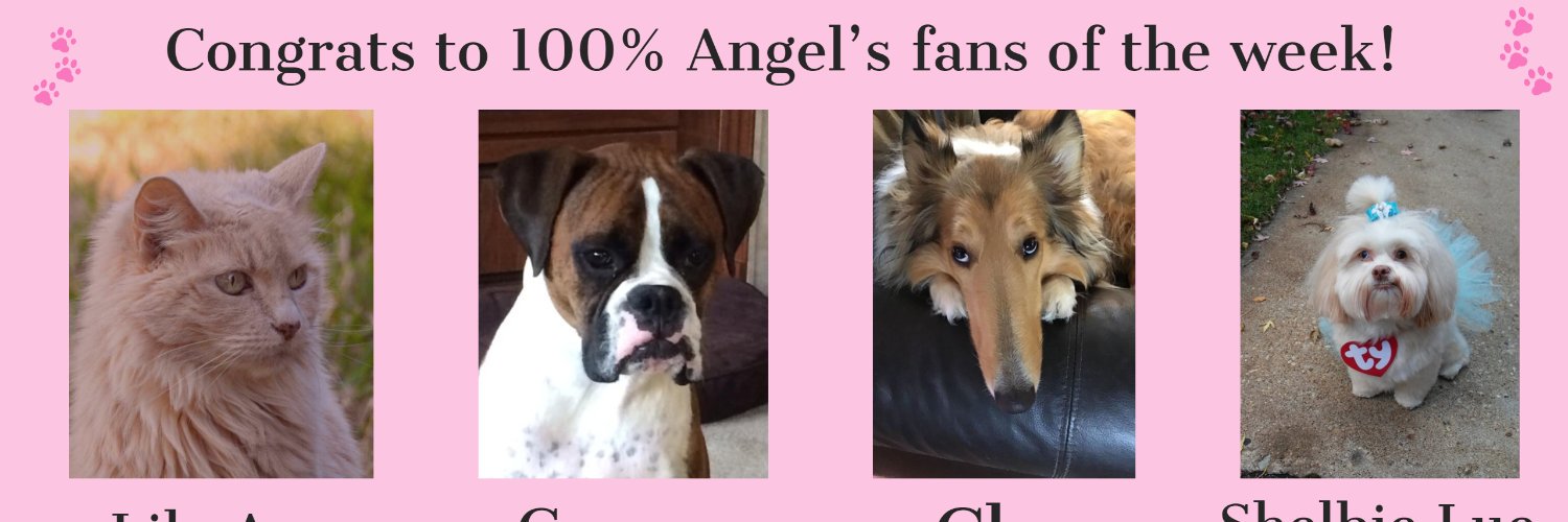 100pctangel's profile banner image