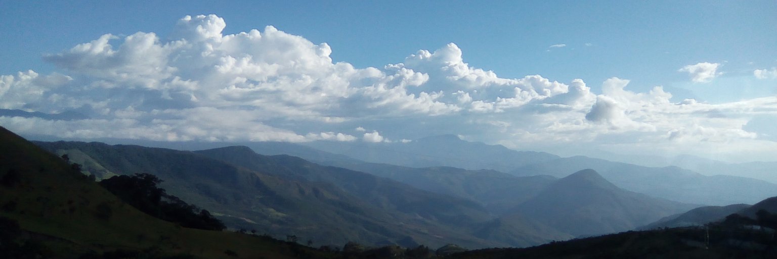CalendulaM64's profile banner image