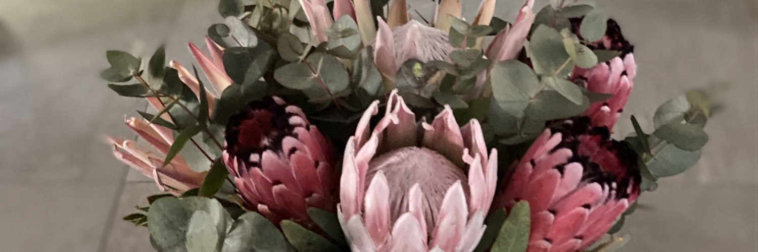 Yoli banner