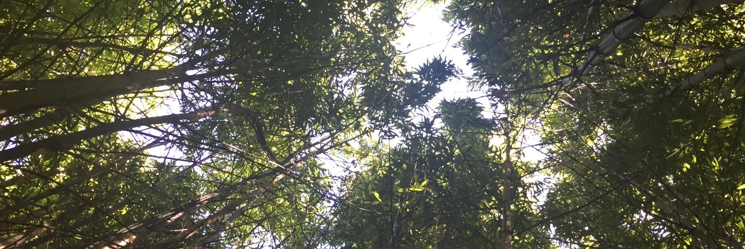 LHBagley's profile banner image