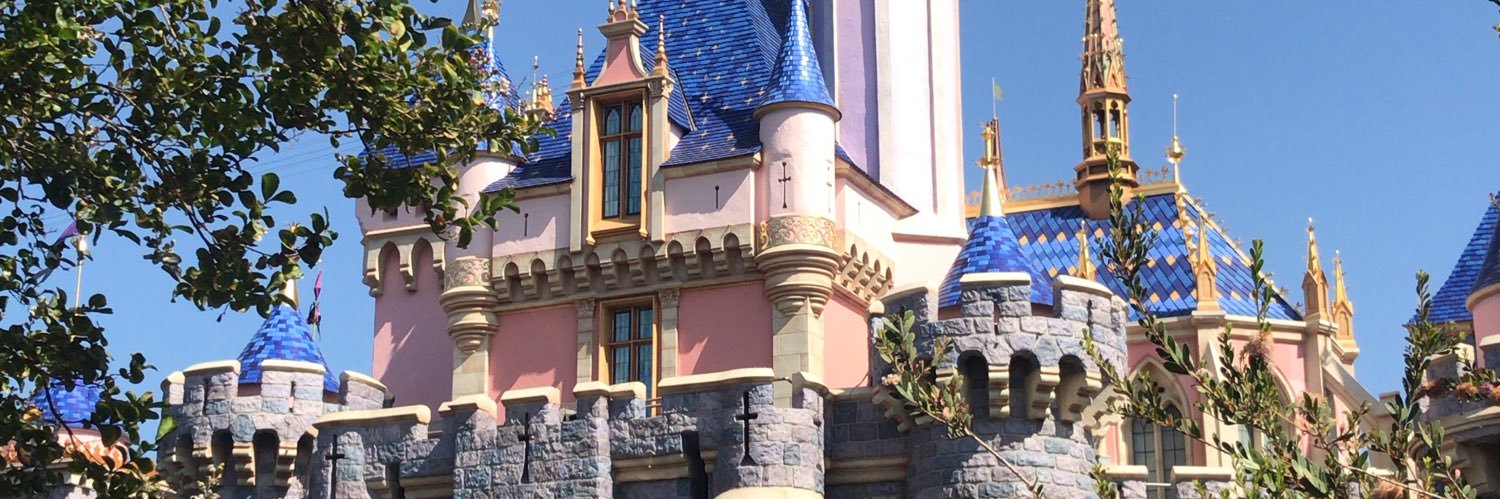 AngeliqueAshSam's profile banner image