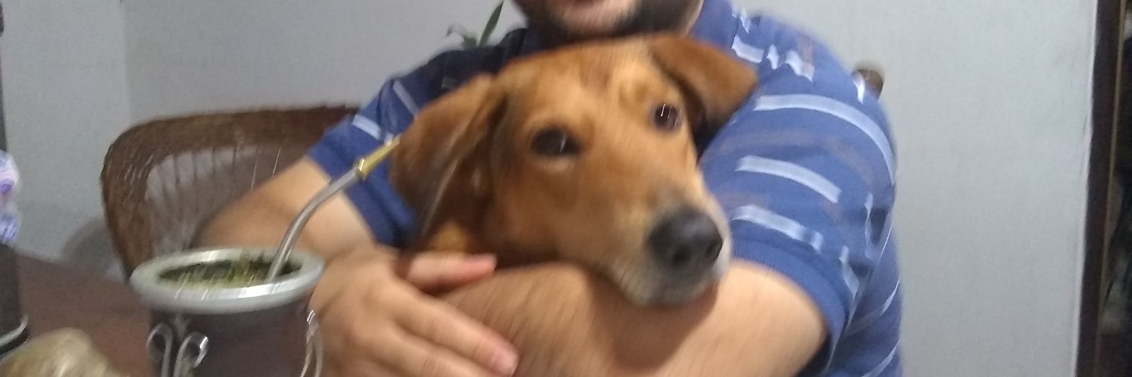 APDSotoTorres's profile banner image