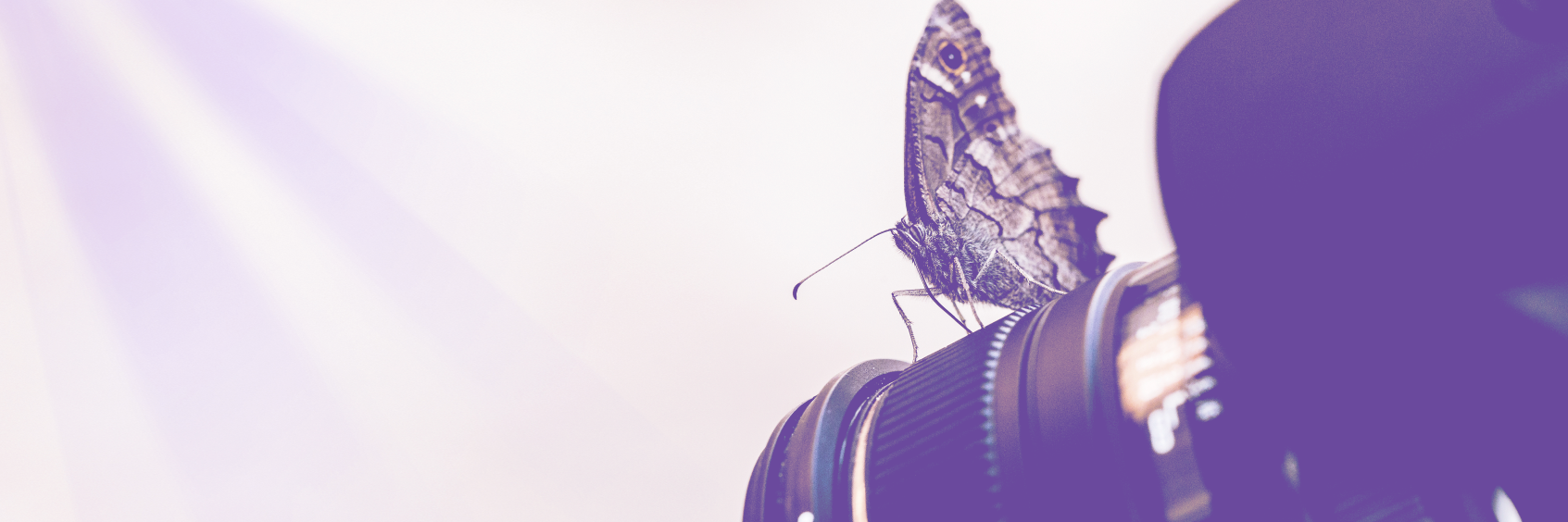 LilaFilmsmx's profile banner image