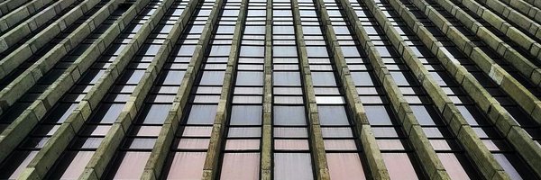 Checka91 Profile Banner