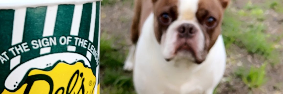 SnacksYea's profile banner image