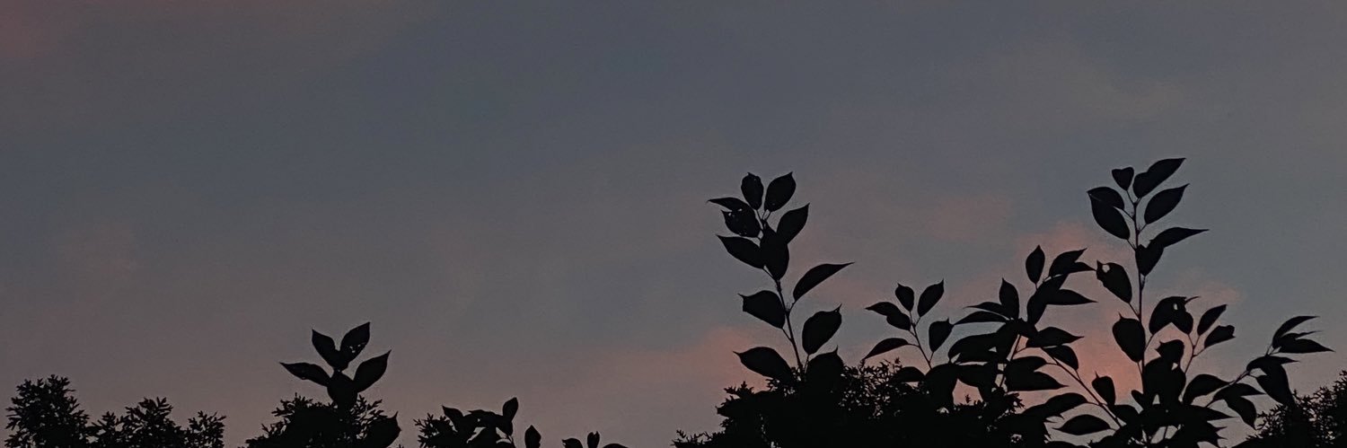 catherineL_24's profile banner image