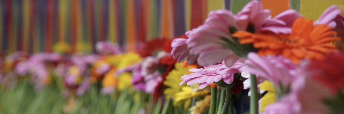 Kim Kristiansen banner