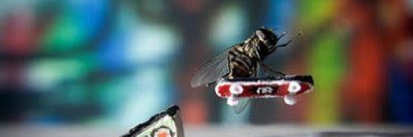 ipuy_cihuy's profile banner image