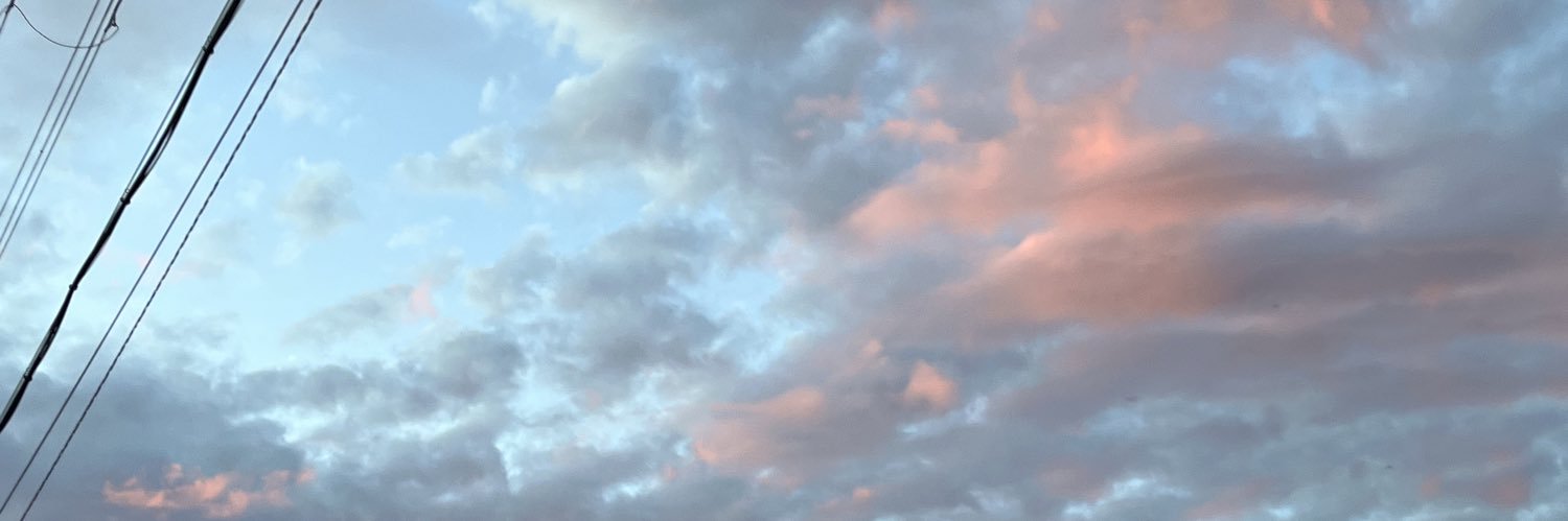 rina1430's profile banner image