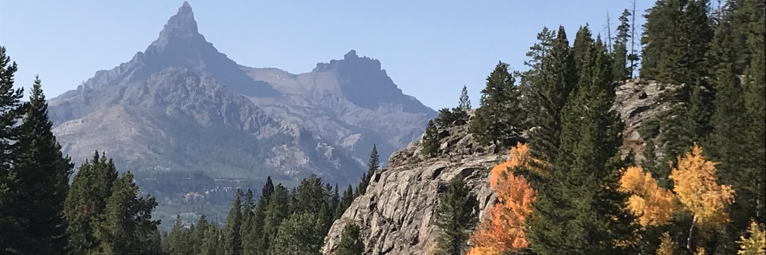 CarolMH13's profile banner image