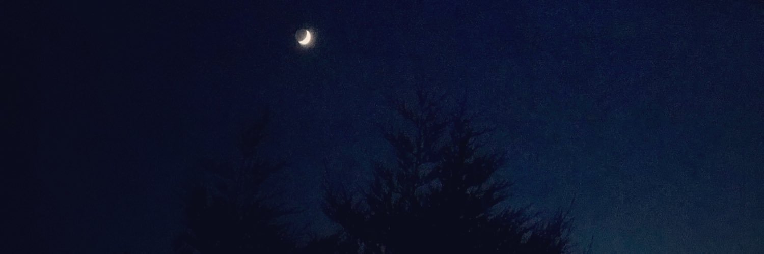 sarahmatthews7's profile banner image