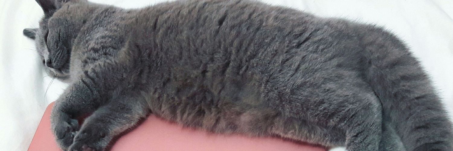 quinkitty's profile banner image
