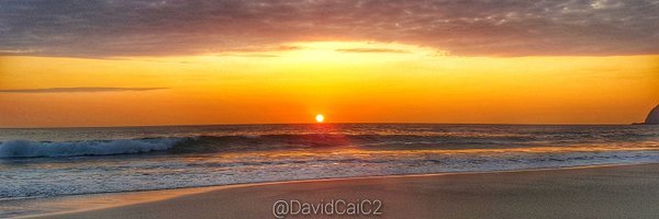 DavidCaiC2 Profile Banner