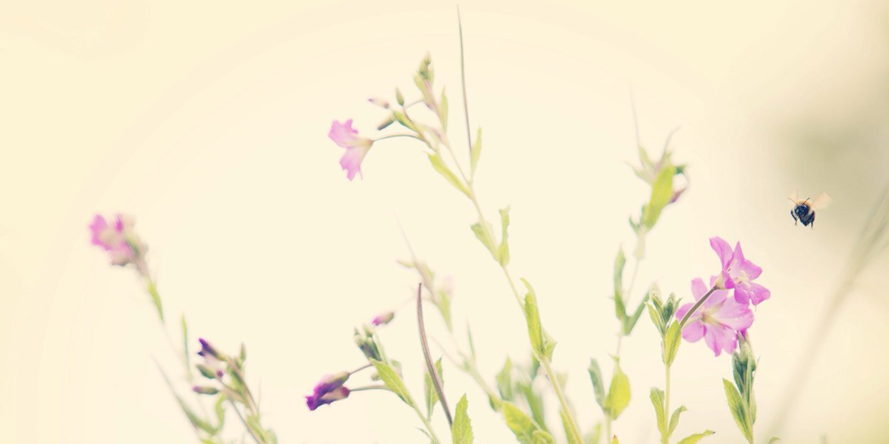 echobravo123's profile banner image