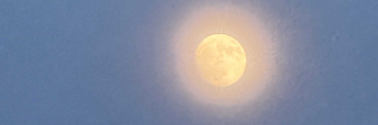 dyerthis's profile banner image