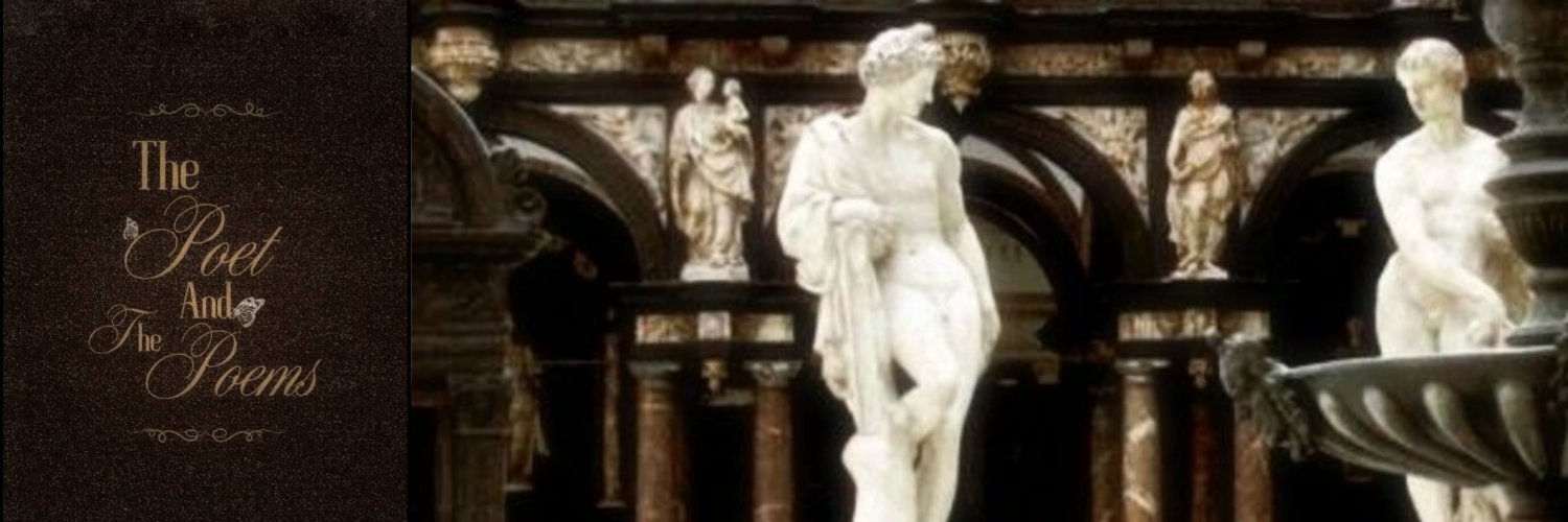 Voxy. banner