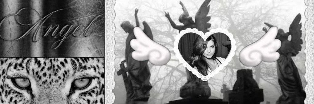 ccrowea's profile banner image