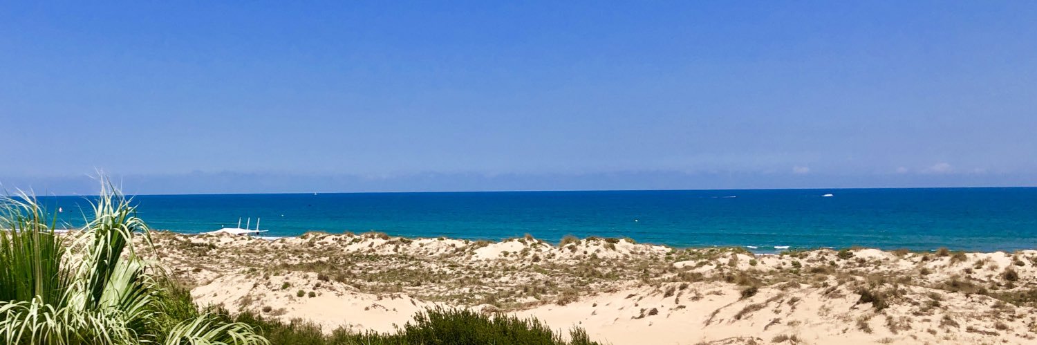 Christian Schemann banner