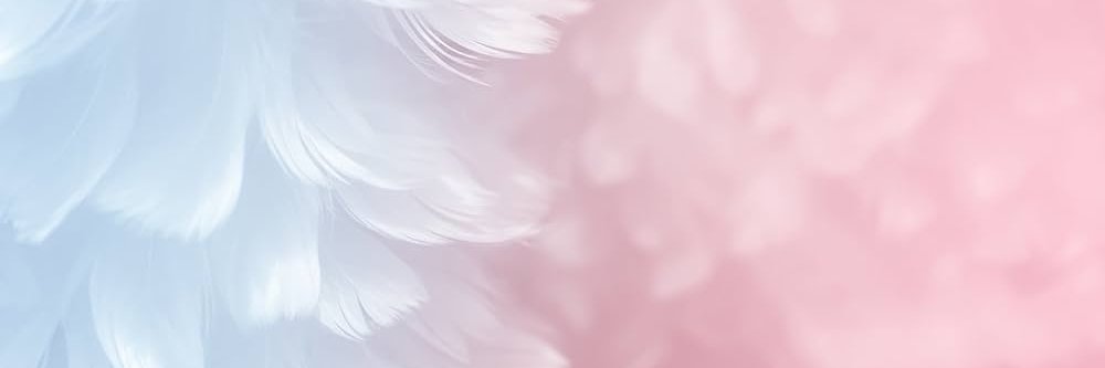 hayro banner
