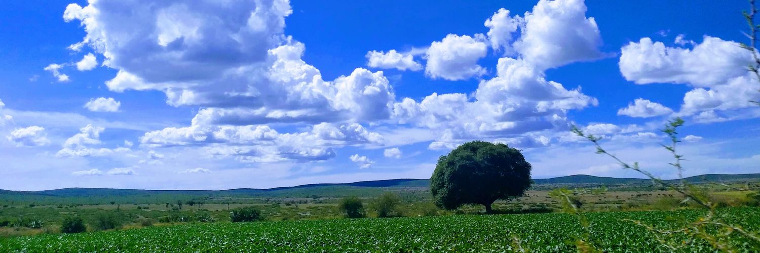 sukunu18's profile banner image
