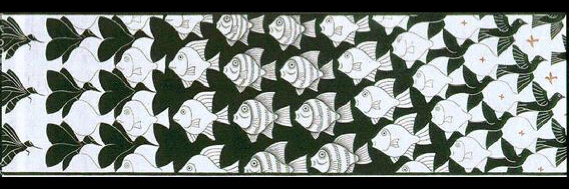 Riccardo Delleani banner