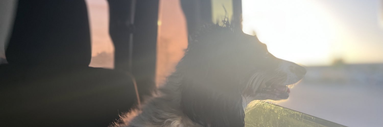 krstkyrdy's profile banner image