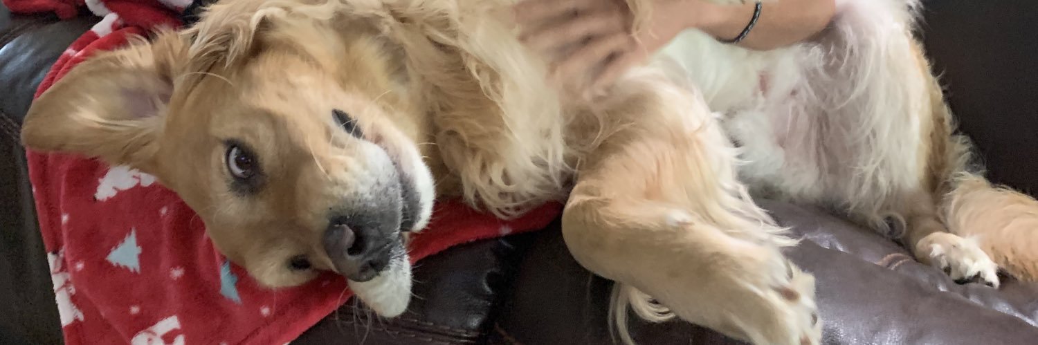 Kalynx_'s profile banner image