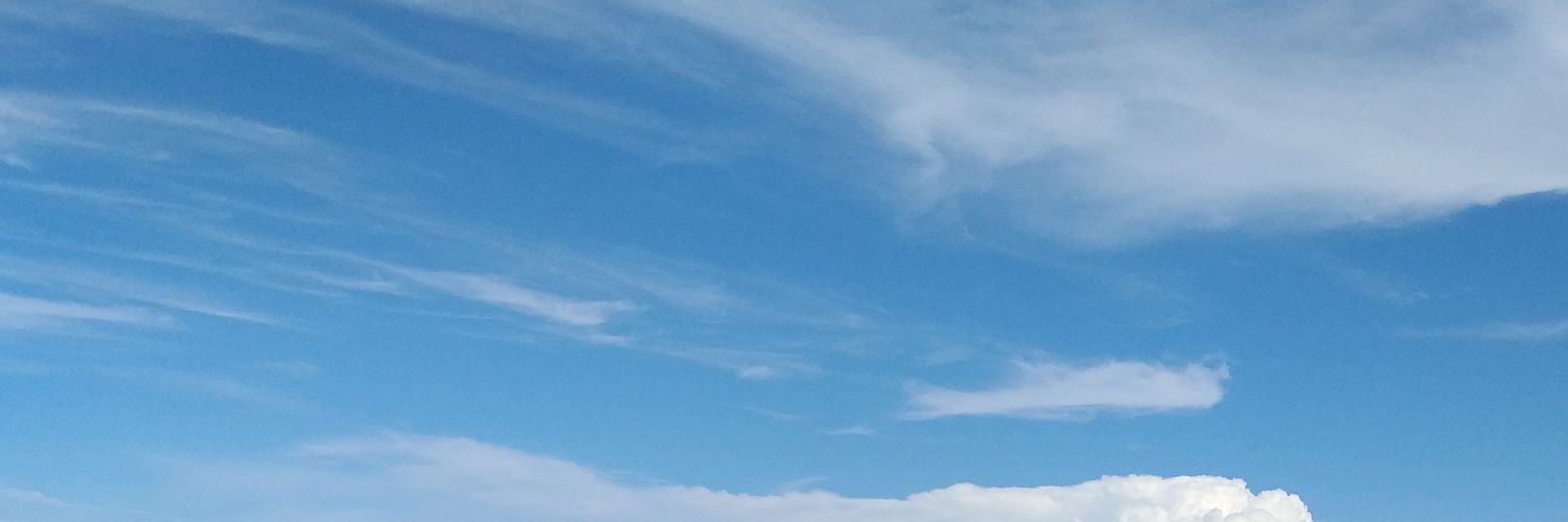 pensandocoisa's profile banner image