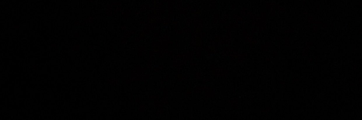 evahergott's profile banner image