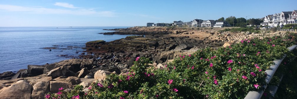 jujumcentee's profile banner image