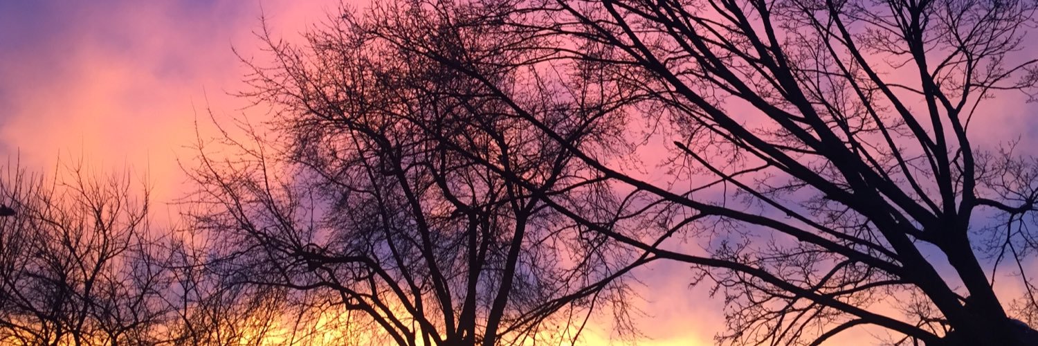 snazar614's profile banner image