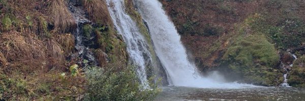 alinutskb Profile Banner