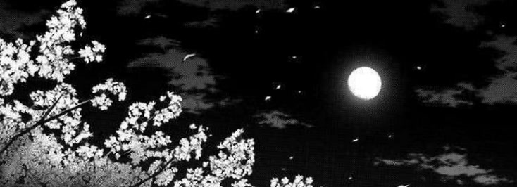 macchiatoluna87's profile banner image