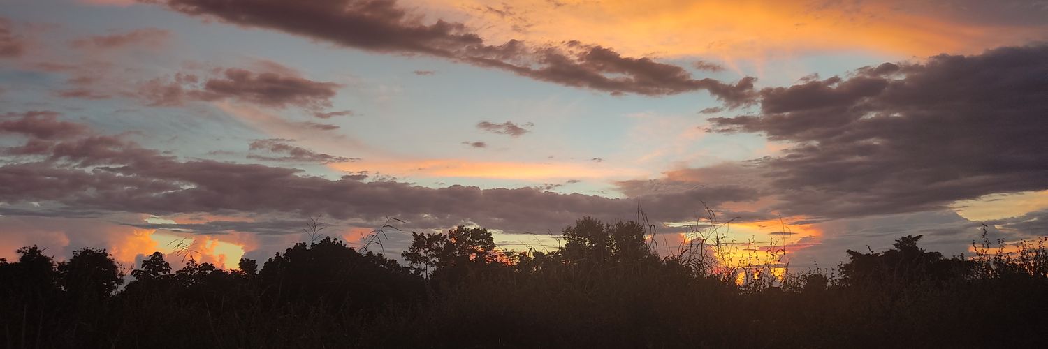 chalo581's profile banner image