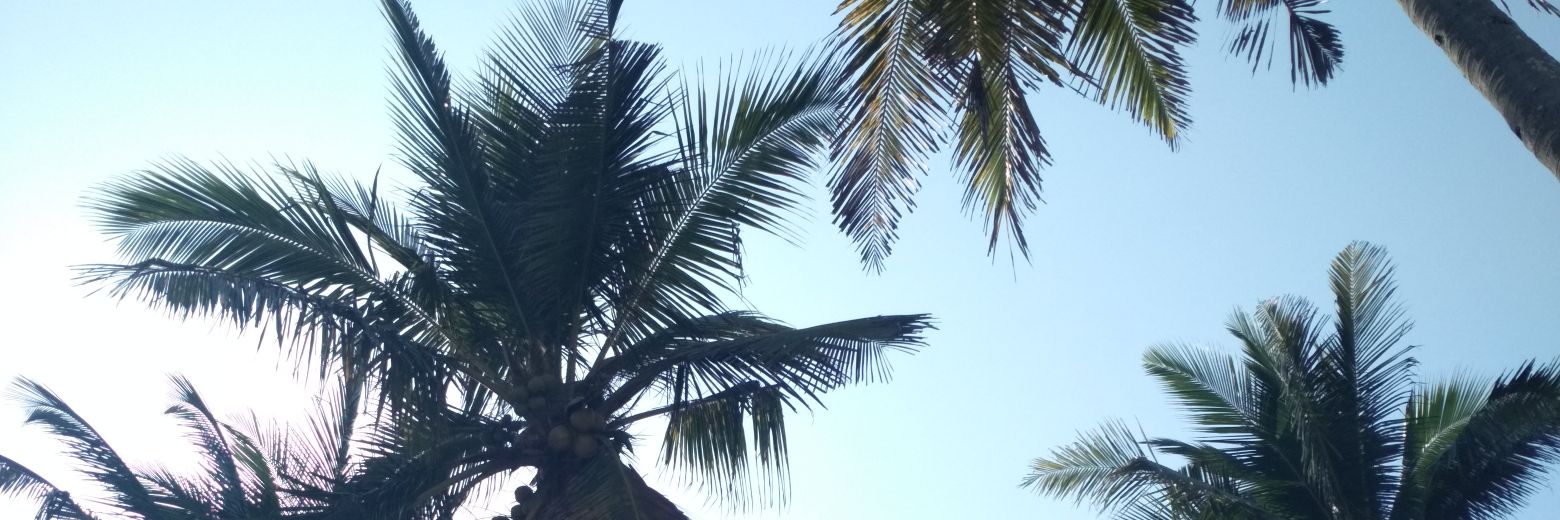 pang spotify! banner