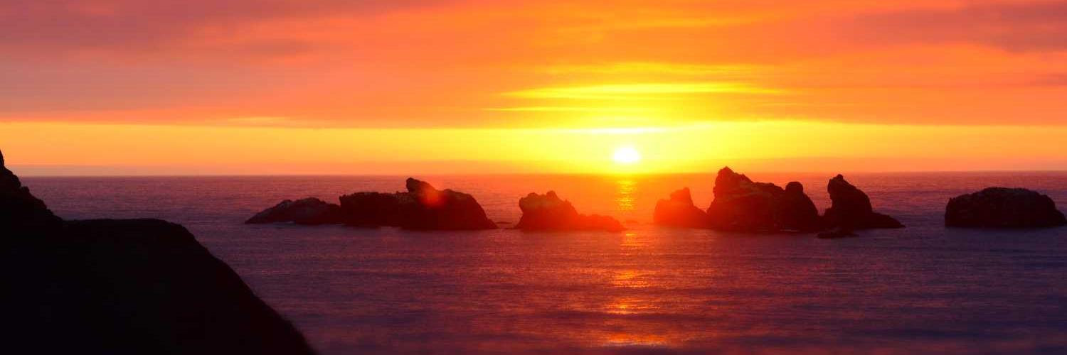 We Love Spiders banner