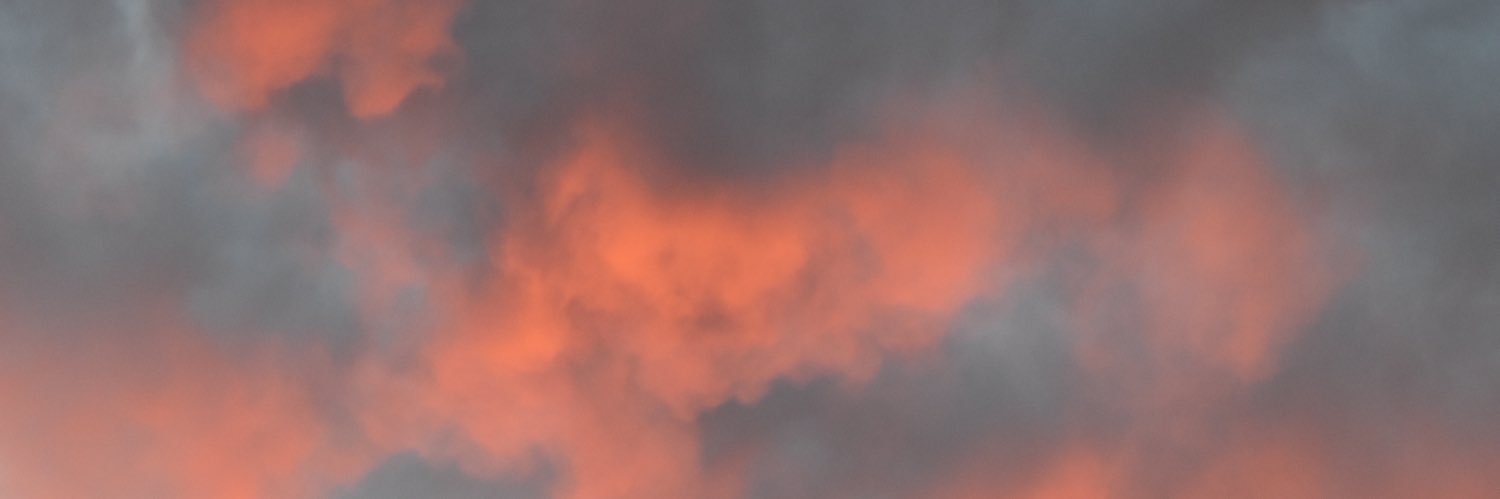 Nzalk3's profile banner image