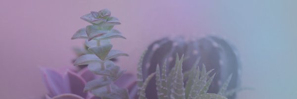 KCInfertility Profile Banner